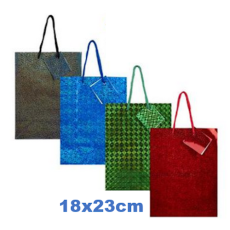 Medium Paper Gift Bag - gloss